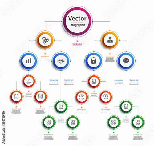 Business hierarchy organogram chart infographics. Corporate organizational structure graphic elements. Infographic design template with circles. Vector eps 10