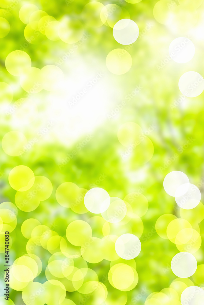 Fototapeta premium 新緑