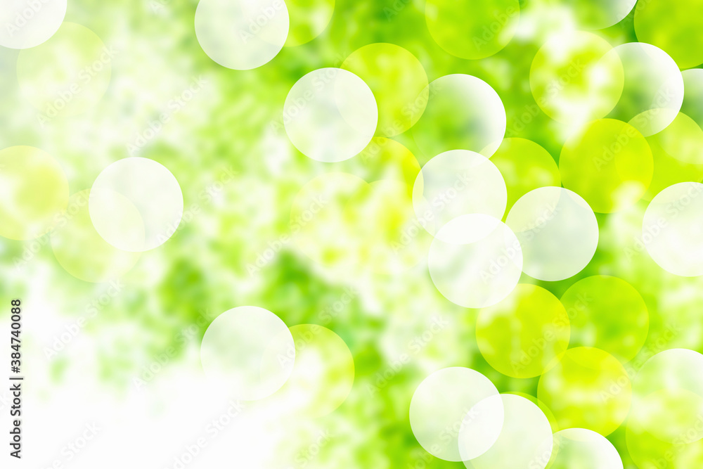 Fototapeta premium 新緑