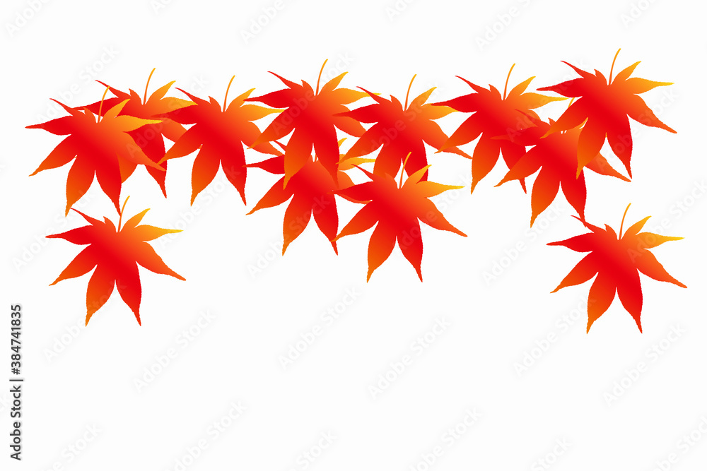 紅葉 紅葉