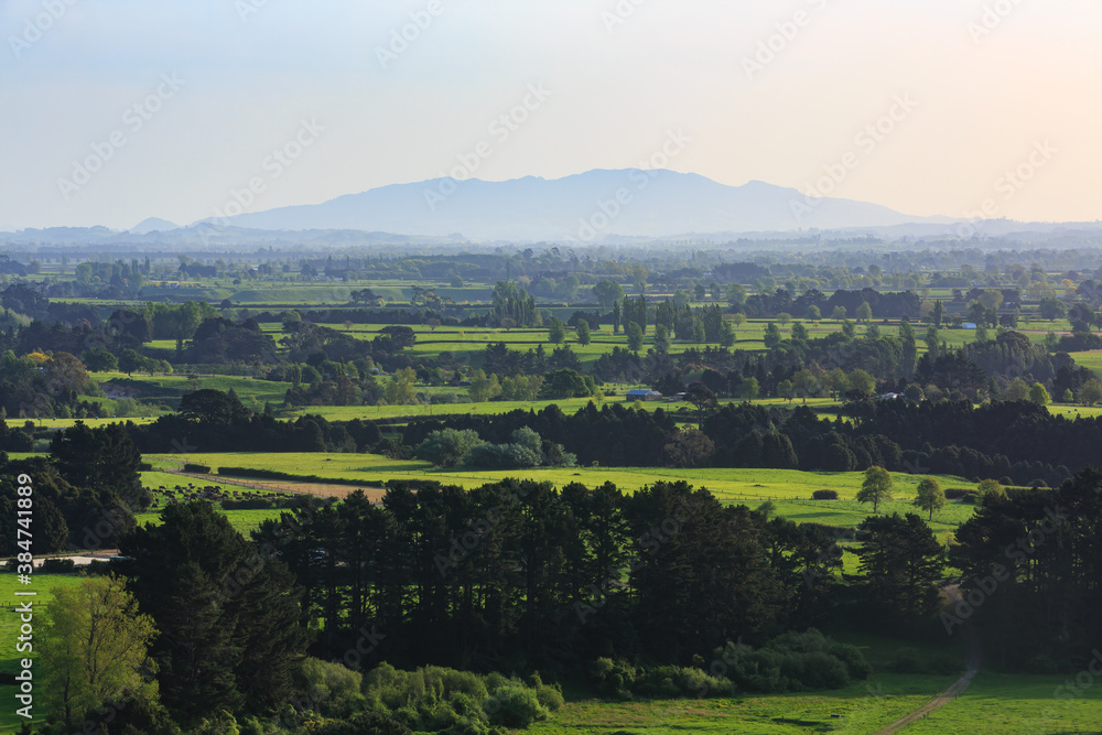 A view across the farmland of the Waikato Region, New Zealand, on a summer day. Rising out of the haze on the horizon is Maungatautari, or Sanctuary Mountain