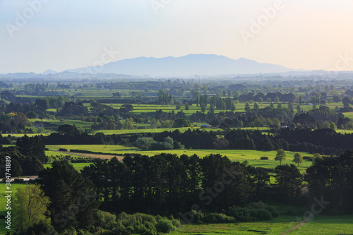 Fototapeta Naklejka Na Ścianę i Meble -  A view across the farmland of the Waikato Region, New Zealand, on a summer day. Rising out of the haze on the horizon is Maungatautari, or Sanctuary Mountain