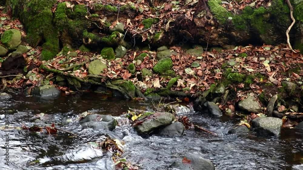 A water cascade in autumn creek with fallen leaves on a rocky shore. Water flows around the stones in the river. A water cascade in autumn creek with fallen leaves on a rocky shore. Water flows around the stones in the river.