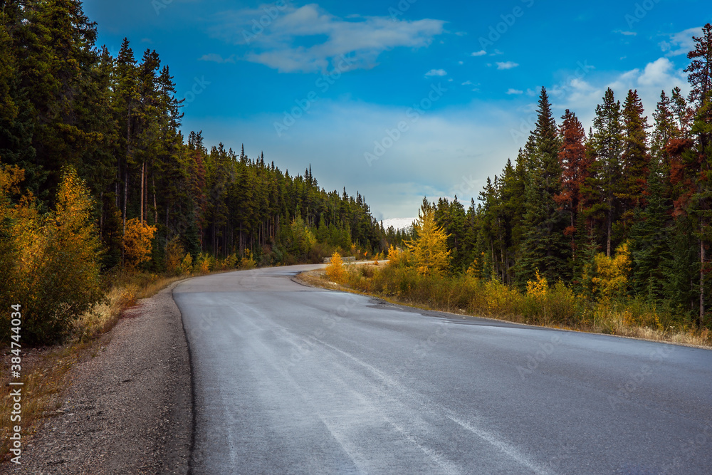 Naklejka premium Magnificent mountain highway