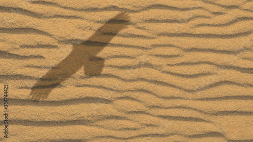 The shadow of a soaring eagle against a background of sand