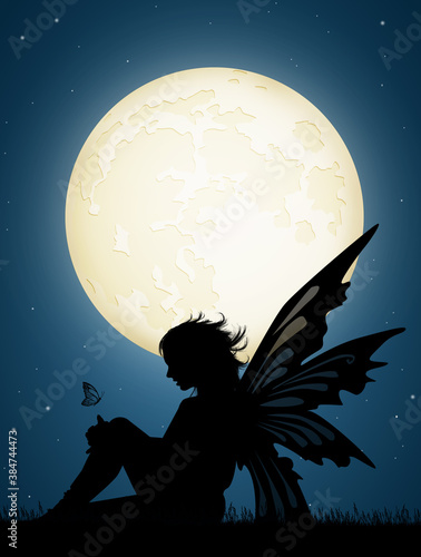 Obraz na plátně illustration of fairy in the moonlight