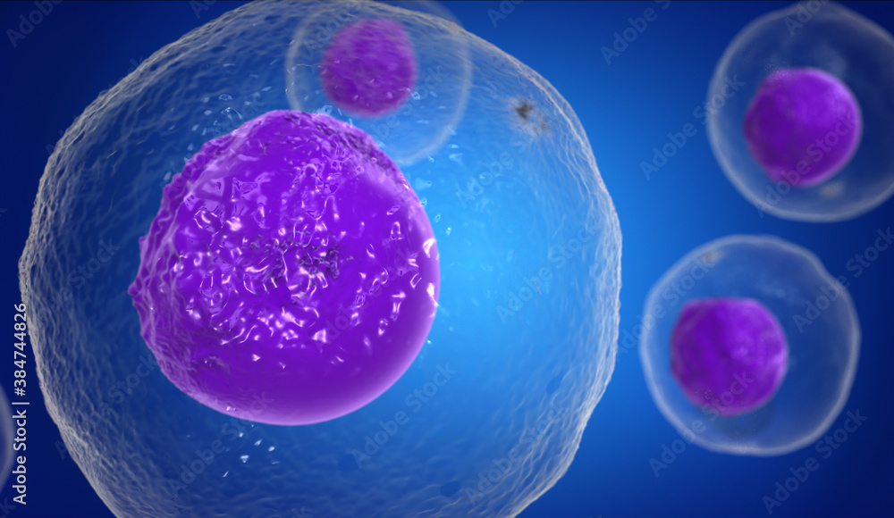 Naklejka premium T Cells attacking Cancer Cells, 3D illustration