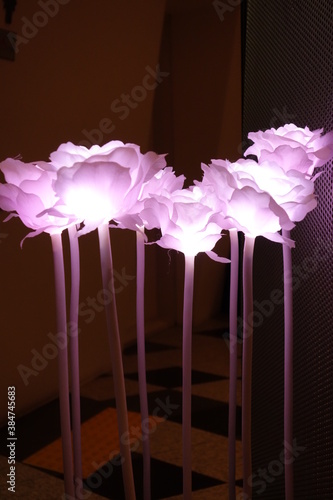 Glowing flowers