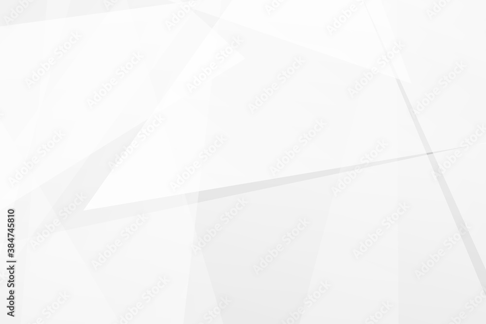 Fototapeta premium Abstract white and grey on light silver background modern design. Vector illustration EPS 10.