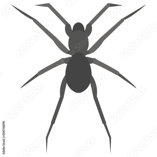  A spider is domestic insect also called web spider 