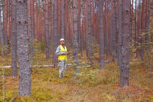 A forest engineer works in the forest. Working in forestry. Forest taxation. Forest certification.