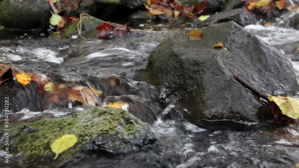 A water cascade in autumn creek with fallen leaves, close up. Water flows around the stones in the river. A water cascade in autumn creek with fallen leaves, close up. Water flows around the stones in the river.