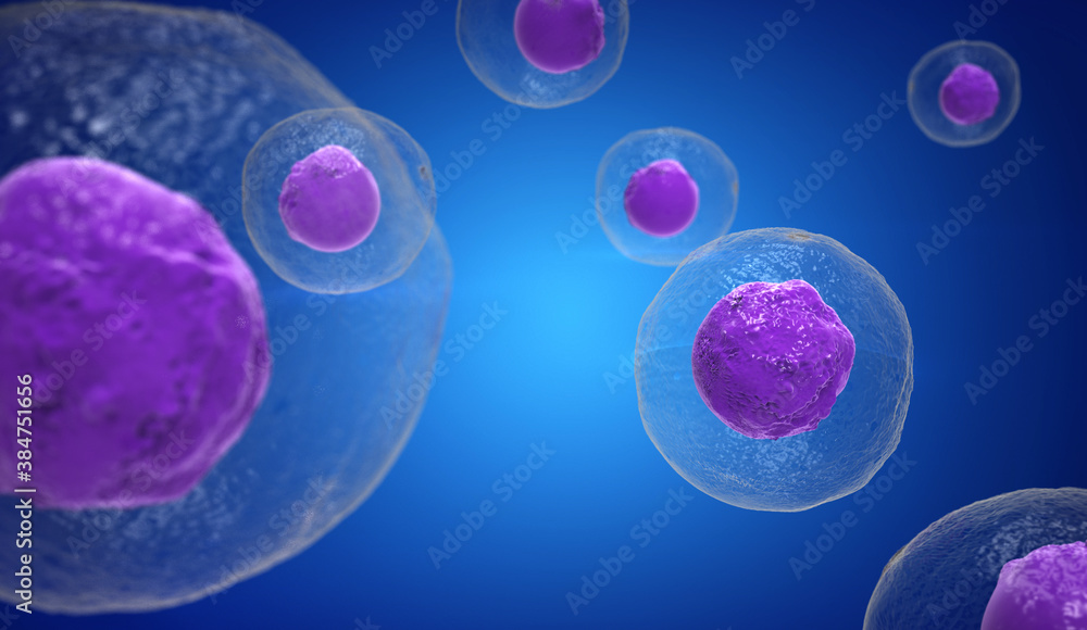 Naklejka premium T Cells attacking Cancer Cells, 3D illustration