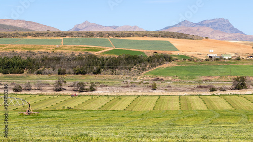 A countryside farming scene with green cultivated fields and blue sky