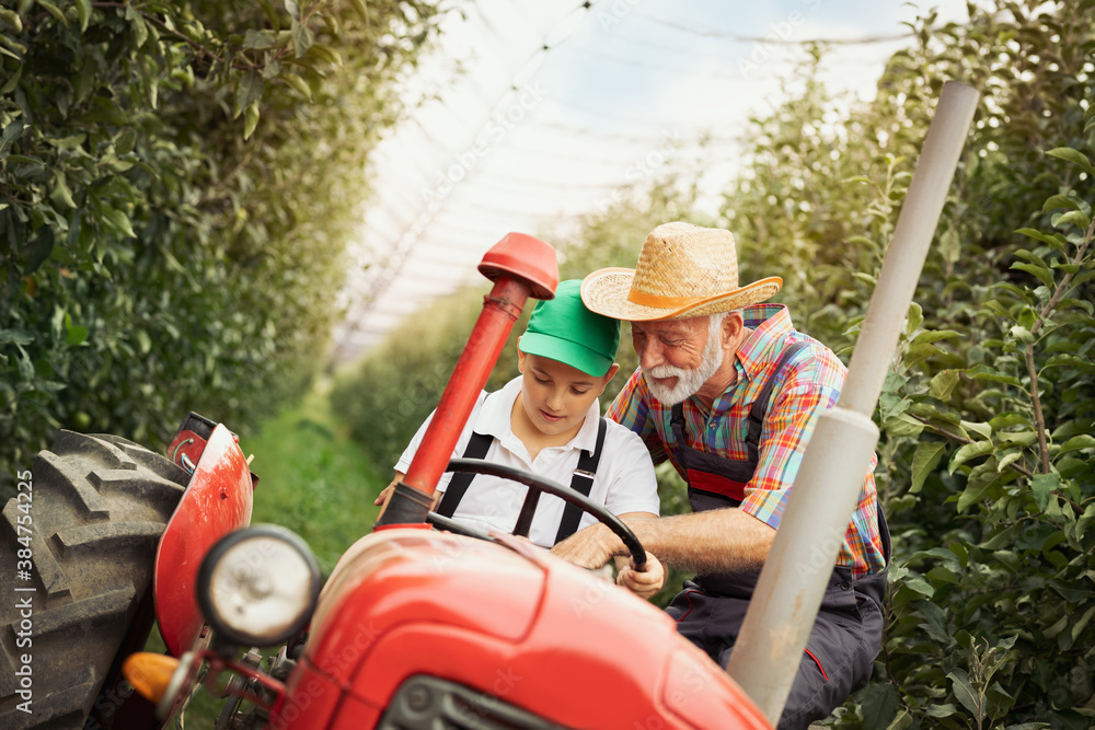 Young boy learns to drive a tractor with the help of his grandfather