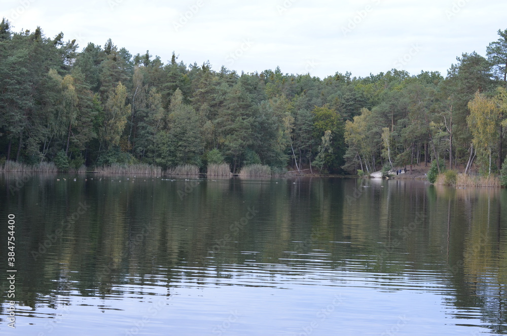 Golejów , Staszów Golejów jezioro , Jezioro w Golejowie , Staszów , Golejów , Jezioro koło Staszowa