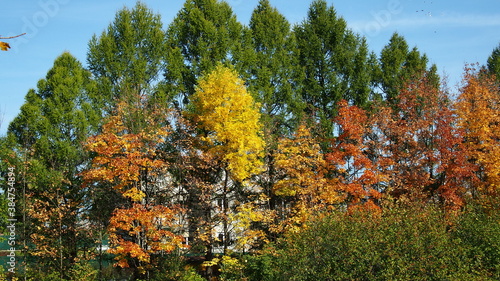 Autumn landscape. Vyatka nature