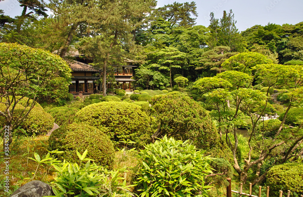 初夏の酒田・本間美術館 庭園 初夏の酒田・本間美術館 庭園