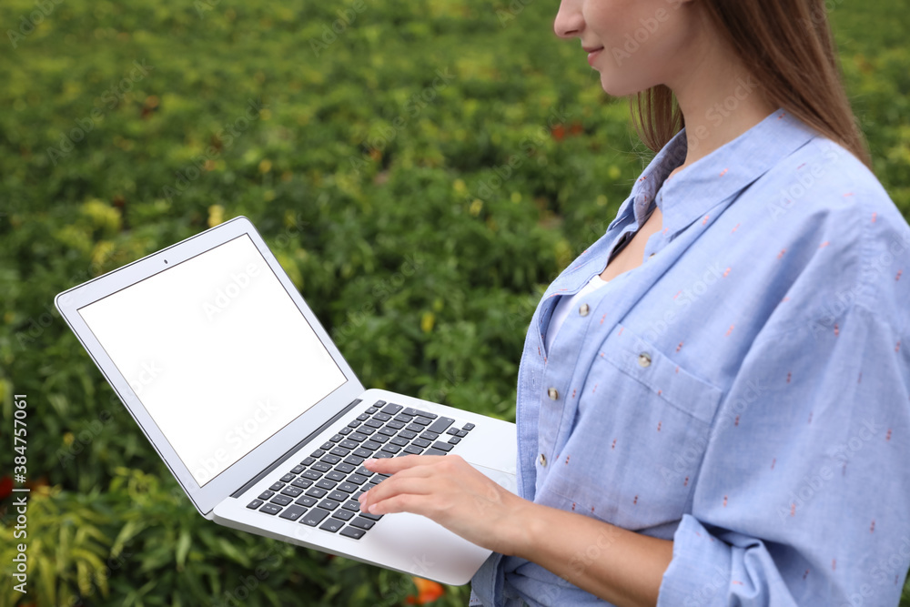 Woman using laptop with blank screen in field, closeup. Agriculture technology Woman using laptop with blank screen in field, closeup. Agriculture technology