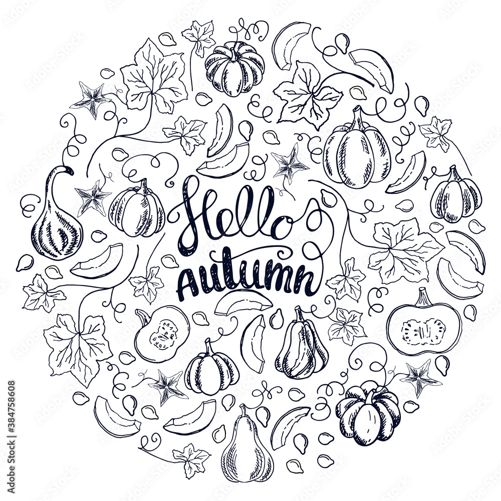 A large set of cozy fall elements. Pumpkins, slices, leaves and seeds. Lettering A large set of cozy fall elements. Pumpkins, slices, leaves and seeds. Lettering