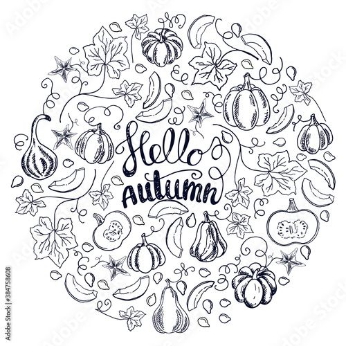 A large set of cozy fall elements. Pumpkins, slices, leaves and seeds. Lettering "Hello autumn". Isolated vector objects on a white background. Hand drawn plants in Doodle style. 