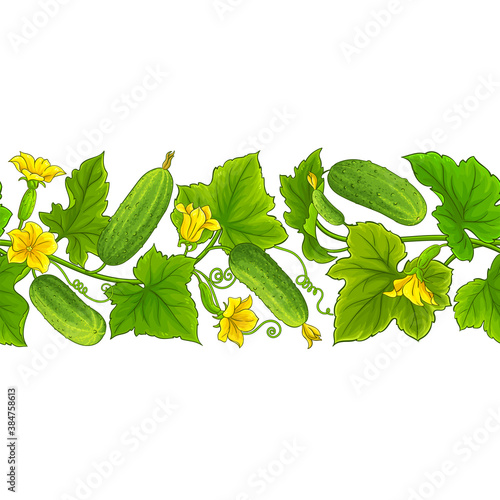 cucumber vector pattern