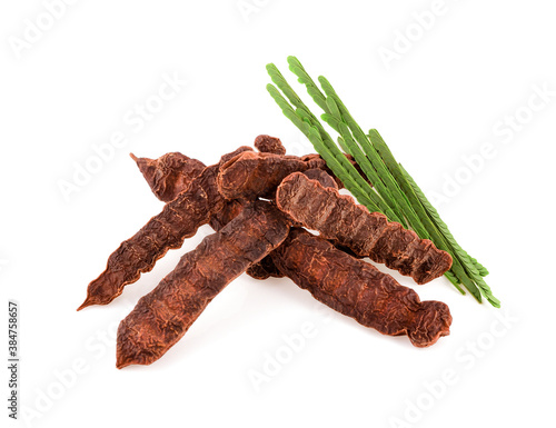 Soap Bobs , Acacia Concinna isolated on white background