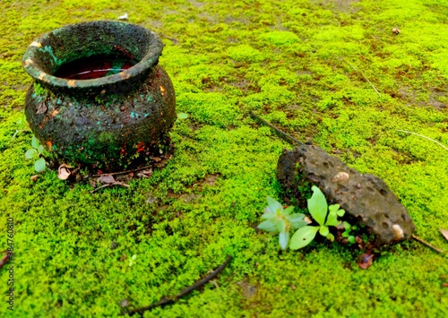 Beautiful earthen pot with half full or half empty water with stone on a mossy land