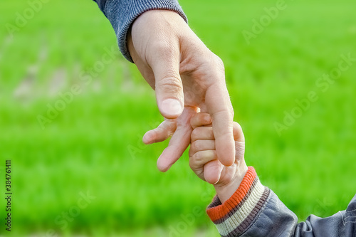 A beautiful hands of parent and child outdoors in the park