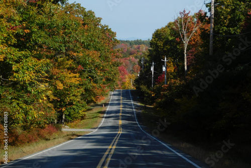 road in autumn forest