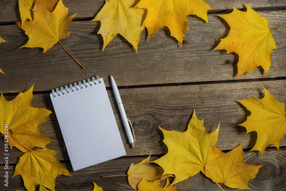 back to school theme with autumn leaves and stationery