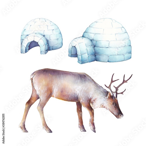 Set of watercolor illustrations: a reindeer and two Igloo houses. It's perfect for winter design