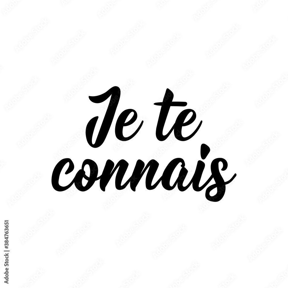I know you - in French language. Lettering. Ink illustration. Modern brush calligraphy. I know you - in French language. Lettering. Ink illustration. Modern brush calligraphy.