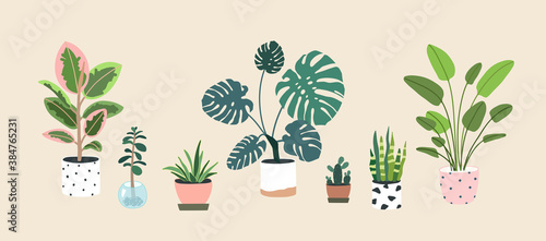 Home plants in flowerpot. Houseplants isolated. Set collection. Trendy hugge style, urban jungle decor. Hand drawn. Green, blue, pink, brown, beige, white colors. Print, poster, banner. Logo, label.