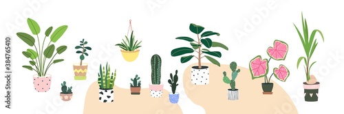 Home plants in flowerpot. Houseplants isolated. Set collection. Trendy hugge style, urban jungle decor. Hand drawn. Green, blue, pink, yellow, beige, white colors. Print, poster, banner. Logo, label.
