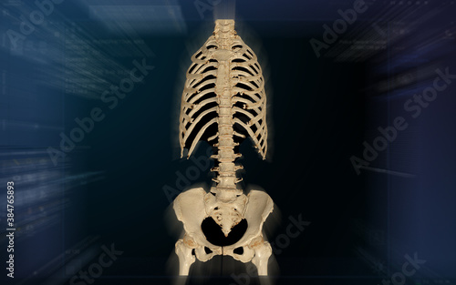 CT SCAN of Whole spine 3d rendering isolated on blurred monitor background.