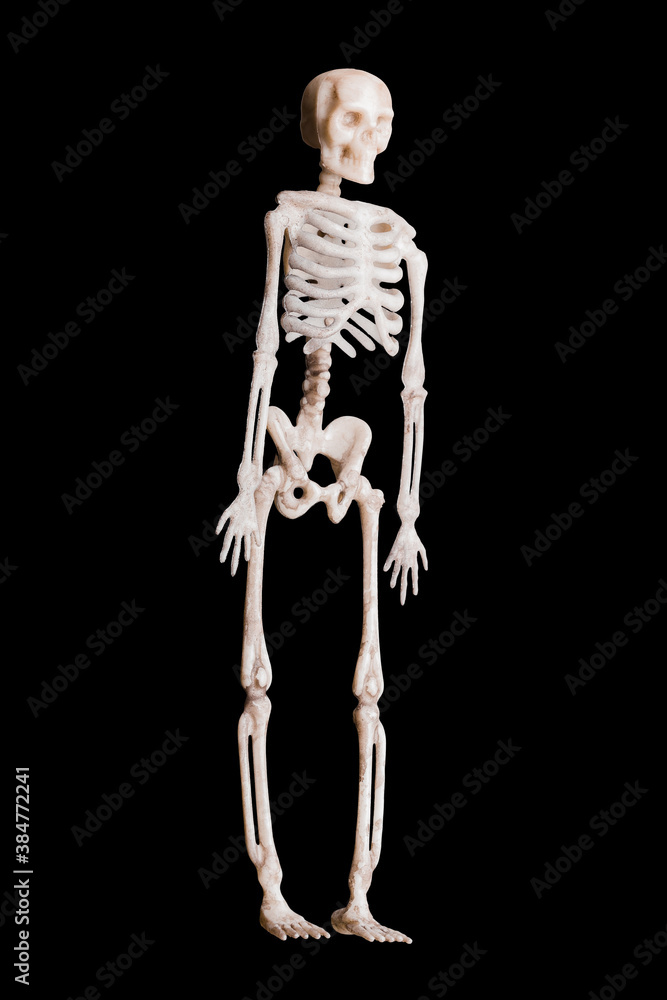 toy skeleton on black isolated background simbol halloween
