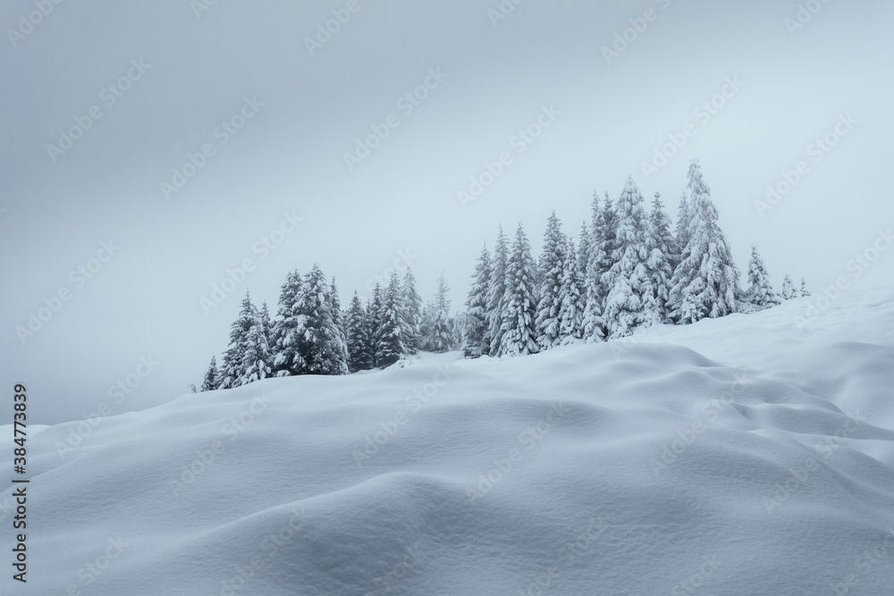 Obraz premium Schneelandschaft mit Winterwald in Österreich