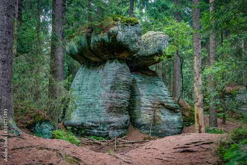 skalne grzyby - Błędne skały, Dolina Kłodzka, Polska photo