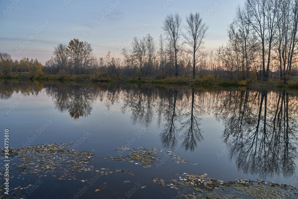 Autumn view of the lake, in the forest with Golden leaves . Autumn time in the forest. Autumn.