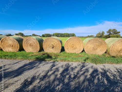 Agriculture, Harvest, Hay Bales