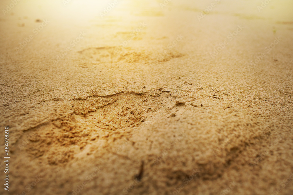 The footprint of a man on the sand in the sunlight The footprint of a man on the sand in the sunlight