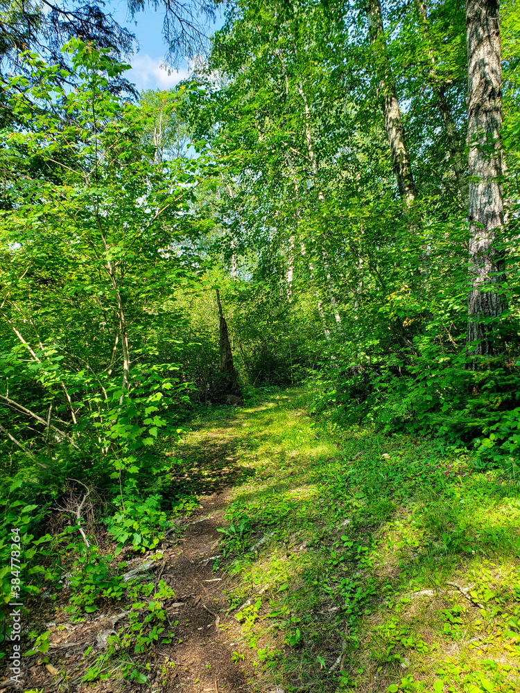 A worn footpath on the Baldy Mountain Hiking Trail in Duck Mountain Provincial Park, Manitoba, Canada A worn footpath on the Baldy Mountain Hiking Trail in Duck Mountain Provincial Park, Manitoba, Canada