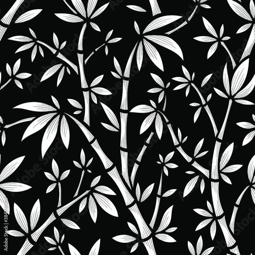 Vector Black and White Bamboo Line Seamless Pattern