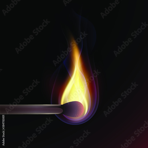 Vector Color Fire Match Illustration