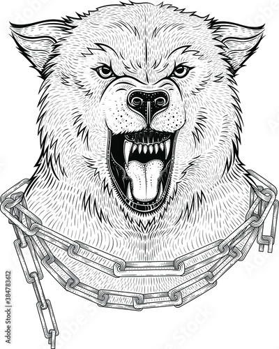 Vector Black and White Angry Wolf Head Illustration