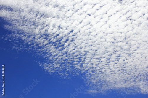 秋空とうろこ雲