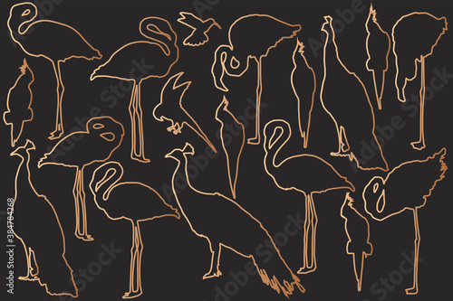 Tropical birds set silhouettes in bronze lines
