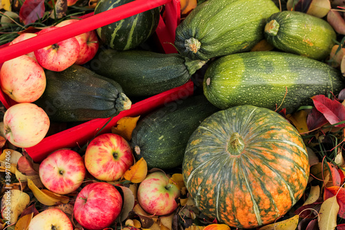 Wallpaper Mural Autumn harvest. Thanksgiving day background.  Vegetables and fruits lying on the fallen leaves. Selective focus. Close up. Torontodigital.ca