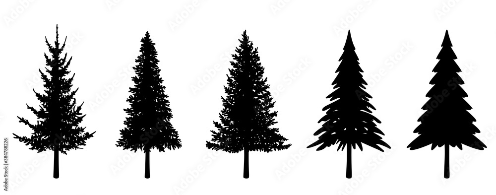もみの木、クリスマスツリーの素材セット（シルエット）